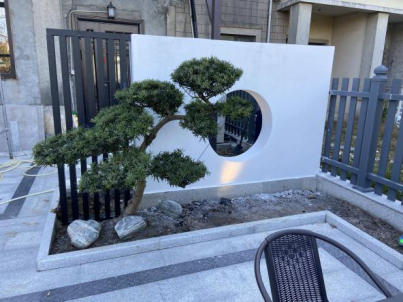 苏州别墅庭院设计施工